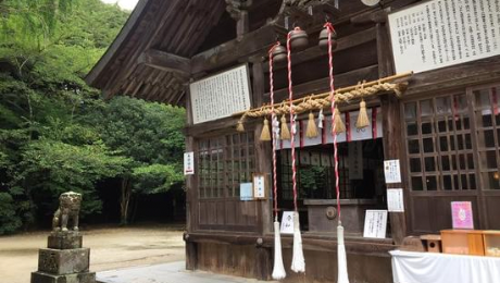 櫻井神社の写真