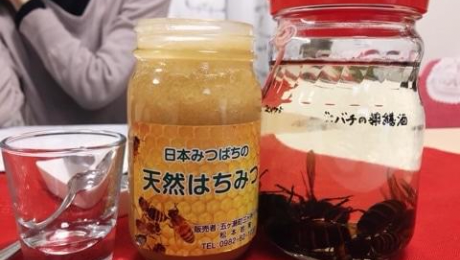 スズメバチの焼酎と和バチの蜂蜜の写真
